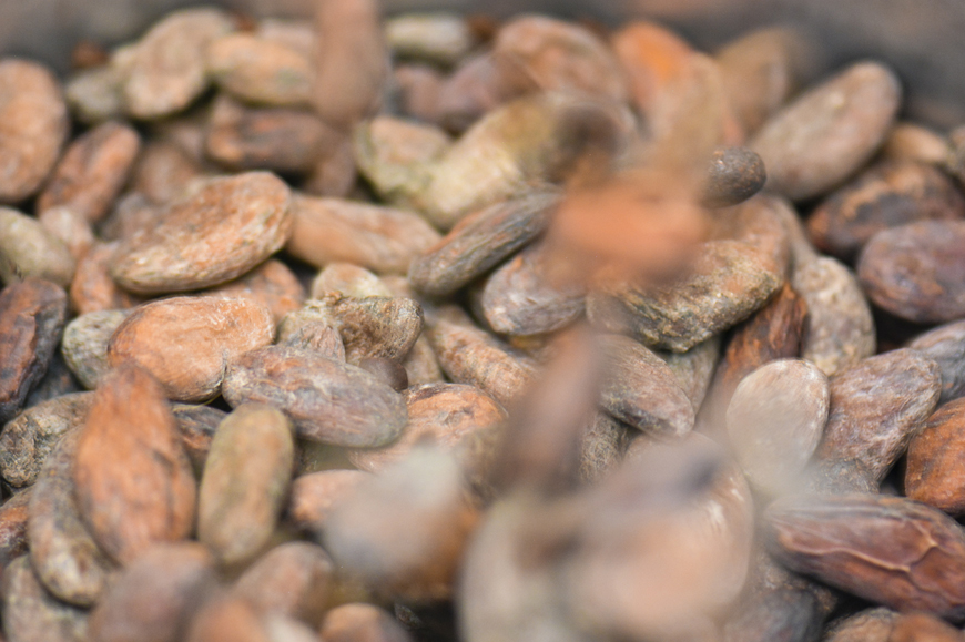 Slow Roasted